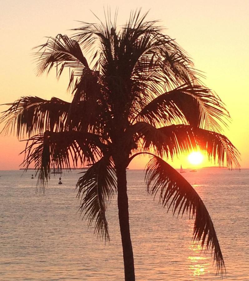 Family, Couples Retreat Near Airport, Cruise Port & Beaches Fort Lauderdale Eksteriør billede